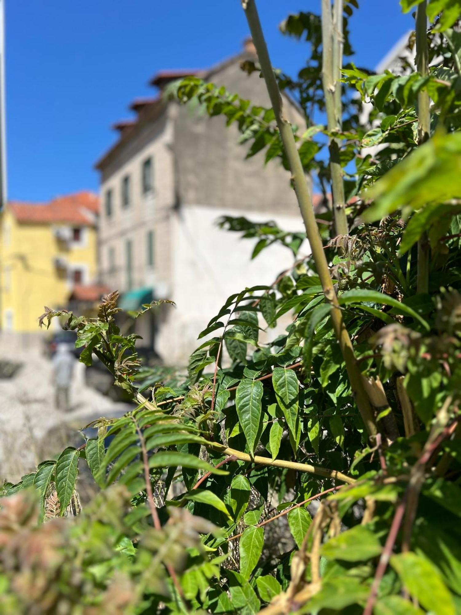 Apartment Fonte Σπλιτ Εξωτερικό φωτογραφία